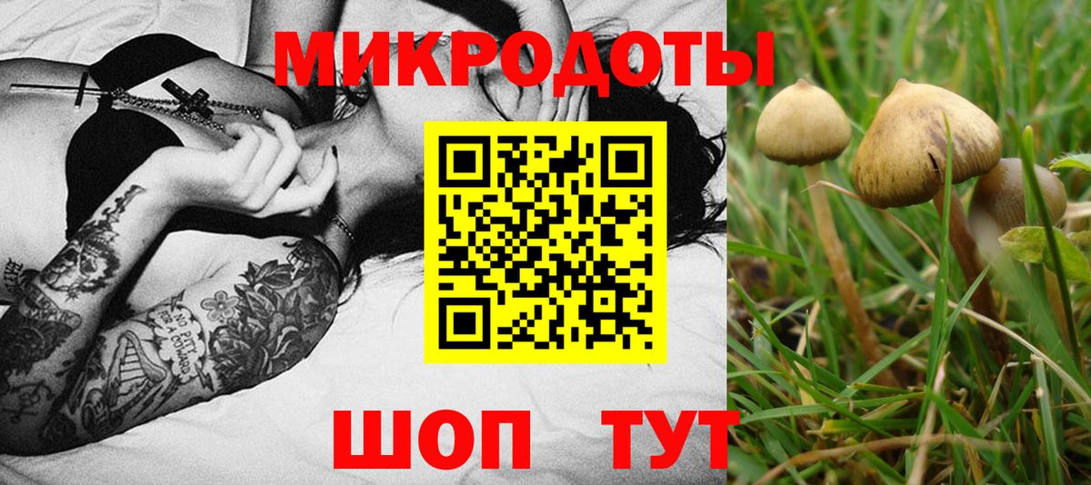 Галлюциногенные грибы MAGIC MUSHROOMS  Вход с VPN  Грязи  Псилоцибиновые грибы Magic Shrooms 