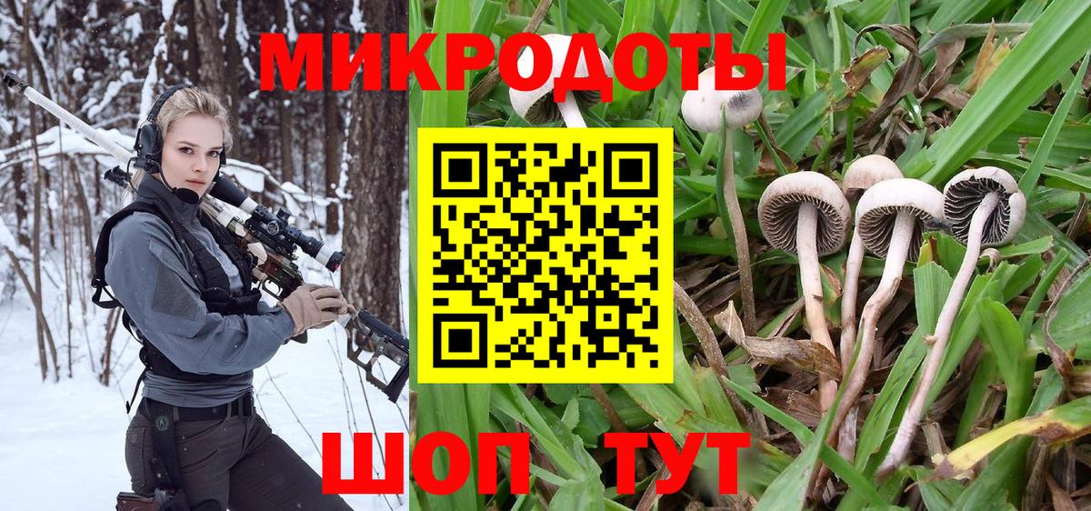 Псилоцибиновые грибы прущие грибы Грязи